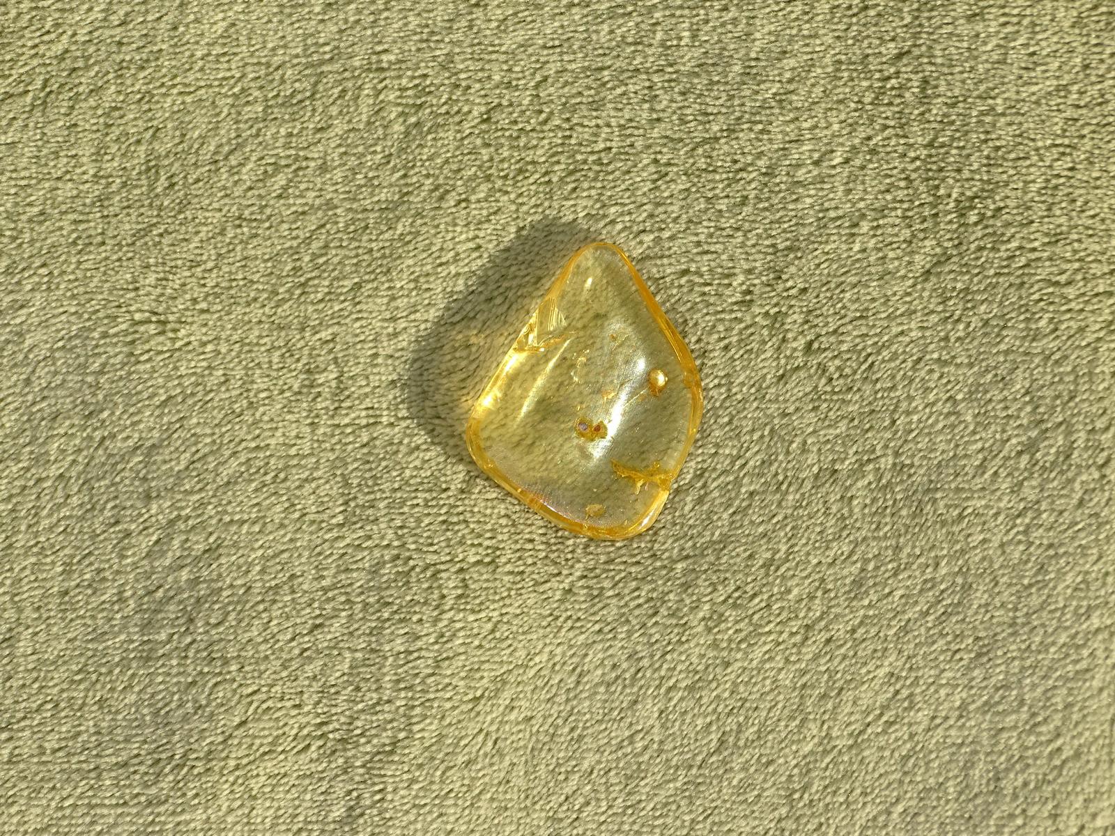 Bernstein mit eingeschlossenem kleinem Tier