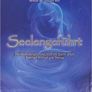 Seelengeführt - Das Seelenkonglomerat, Gott die Quelle selbst, Erzengel Michael und Yeshua (Michael Elrahim AmiRa)
