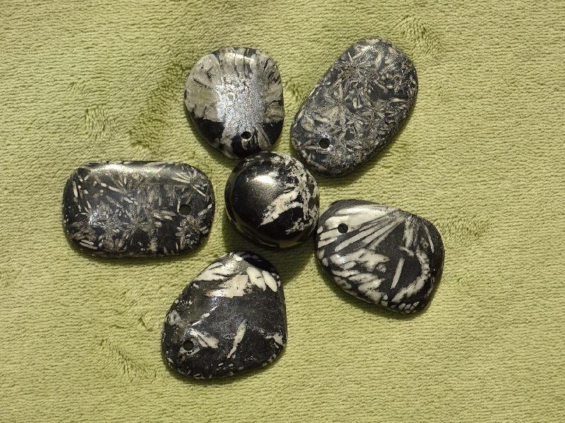 Chrysanthemenstein - Wähle aus dem aktuellen Sortiment!