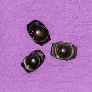 Augenachat - Wähle aus dem aktuellen Sortiment!