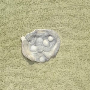 Chalcedonrosette Nr. 3