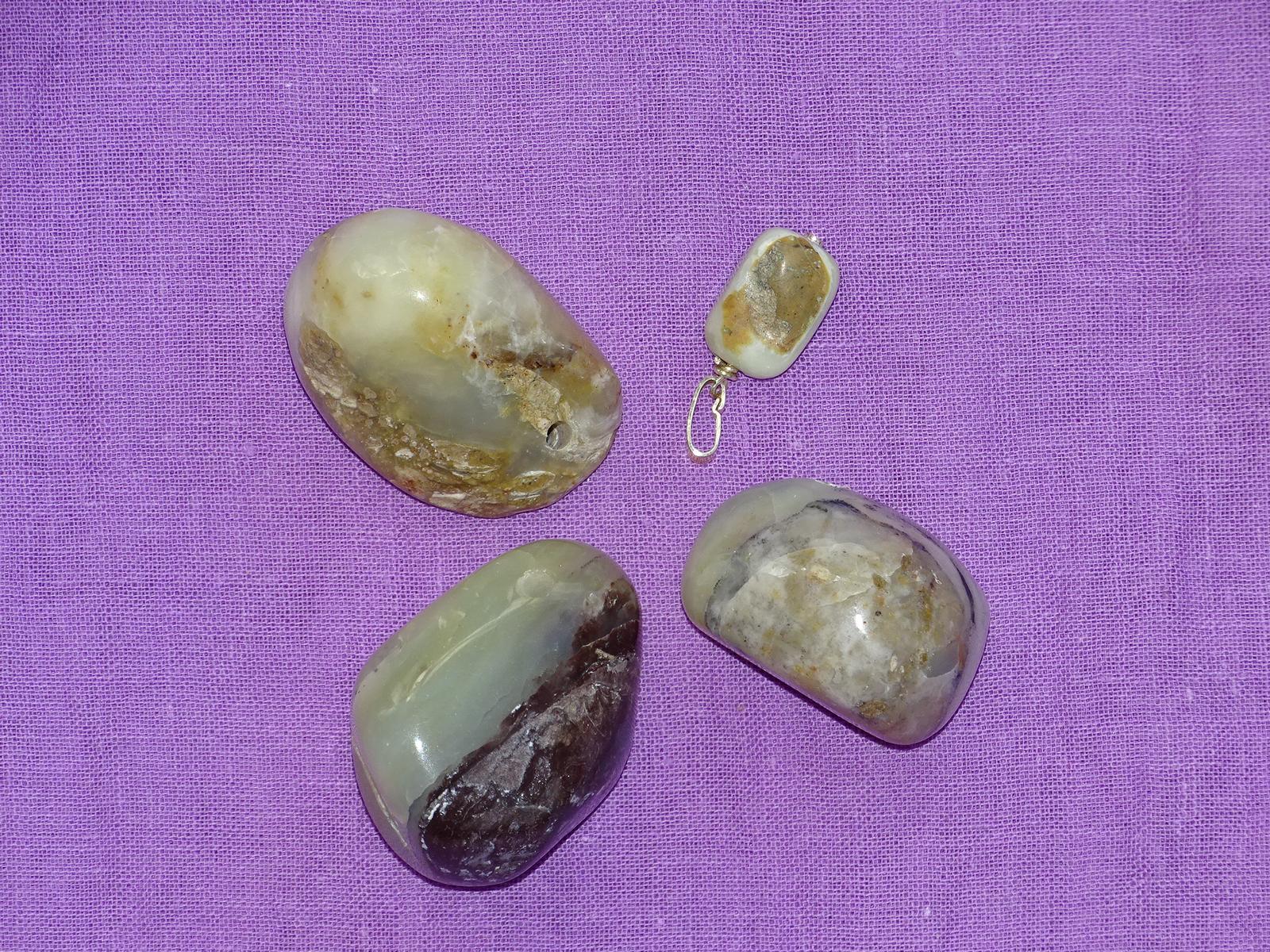 Chrysopal - Wähle aus dem aktuellen Sortiment!