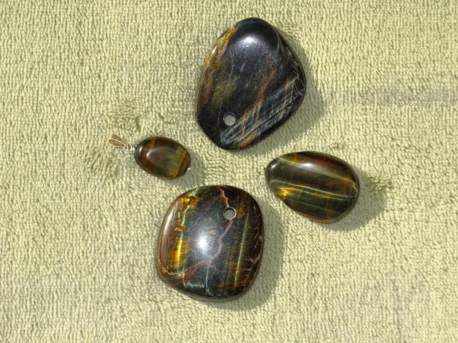 Falkenauge - Wähle aus dem aktuellen Sortiment!