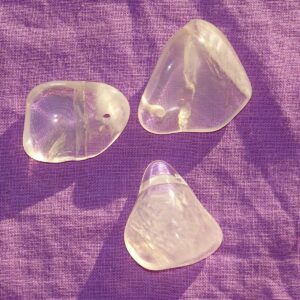 Girasol - Wähle aus dem aktuellen Sortiment!