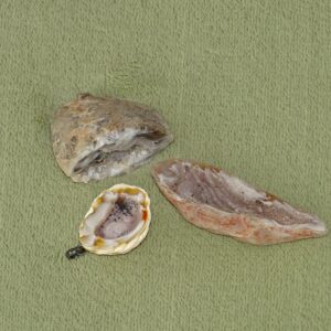 Glücksgeode - Wähle aus dem aktuellen Sortiment!