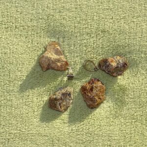 Hyazinth - Wähle aus dem aktuellen Sortiment!