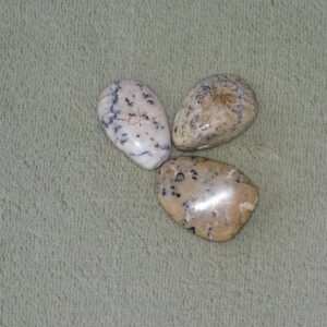 Moosopal - Wähle aus dem aktuellen Sortiment!