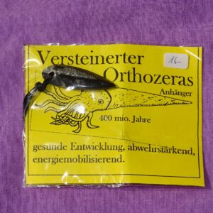 Orthoceras gebohrt mit Band Nr. 1
