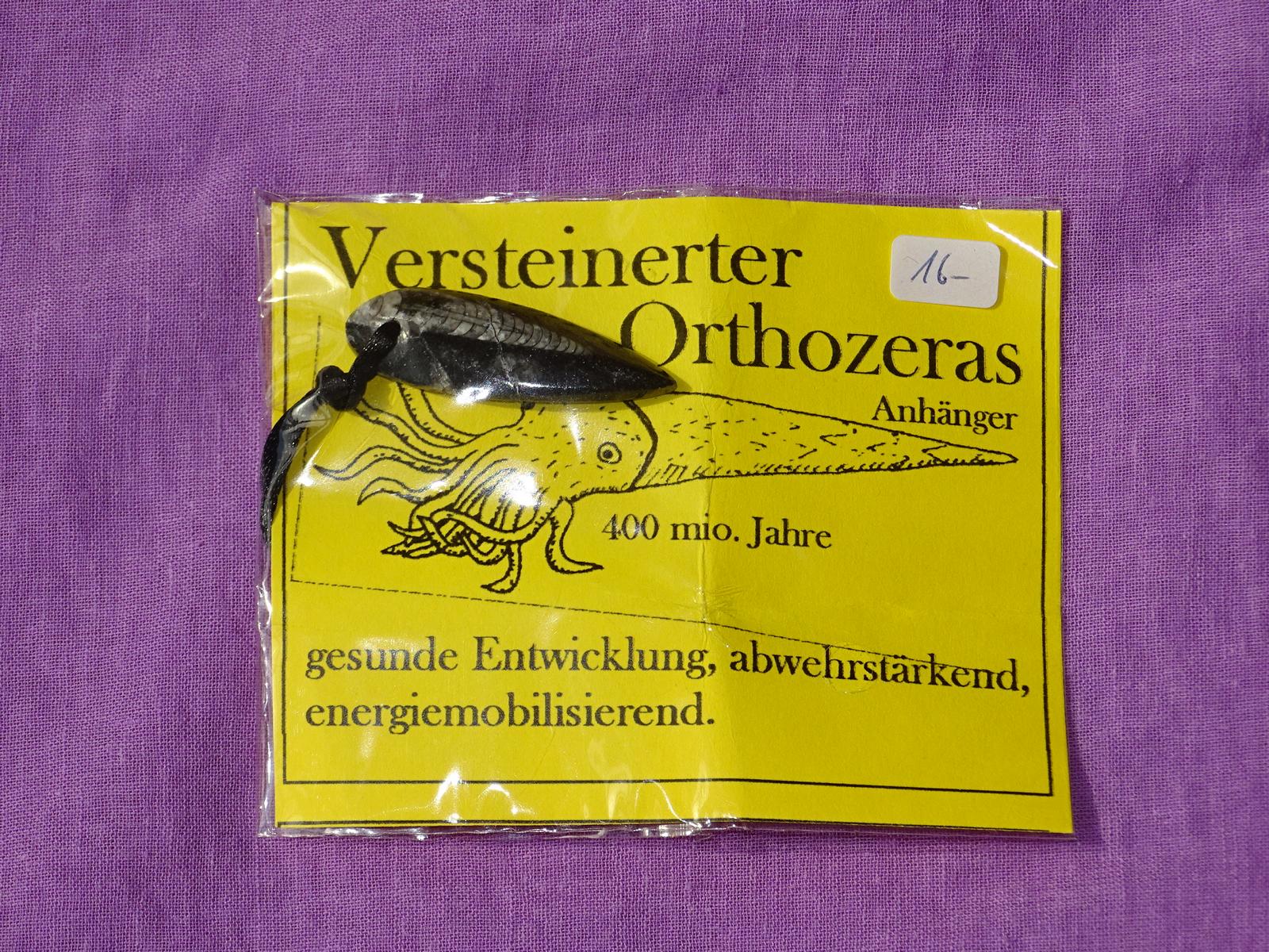 Orthoceras gebohrt mit Band Nr. 1