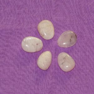 Petalit - Wähle aus dem aktuellen Sortiment!