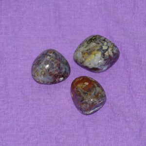 Pietersit - Wähle aus dem aktuellen Sortiment!