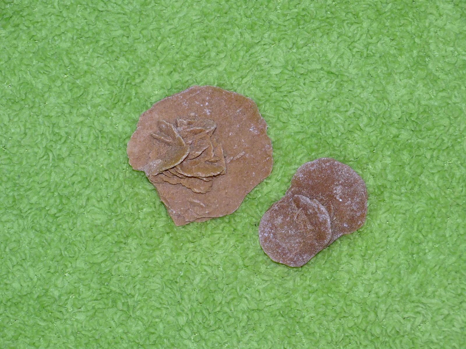 Sandrose - Wähle aus dem aktuellen Sortiment!