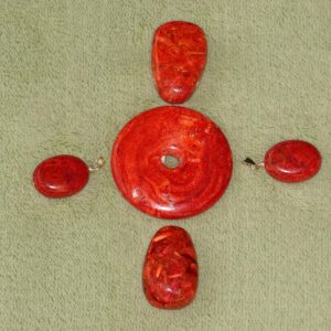 Schaumkoralle - Wähle aus dem aktuellen Sortiment!