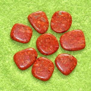 Schaumkorallen-Flachstein