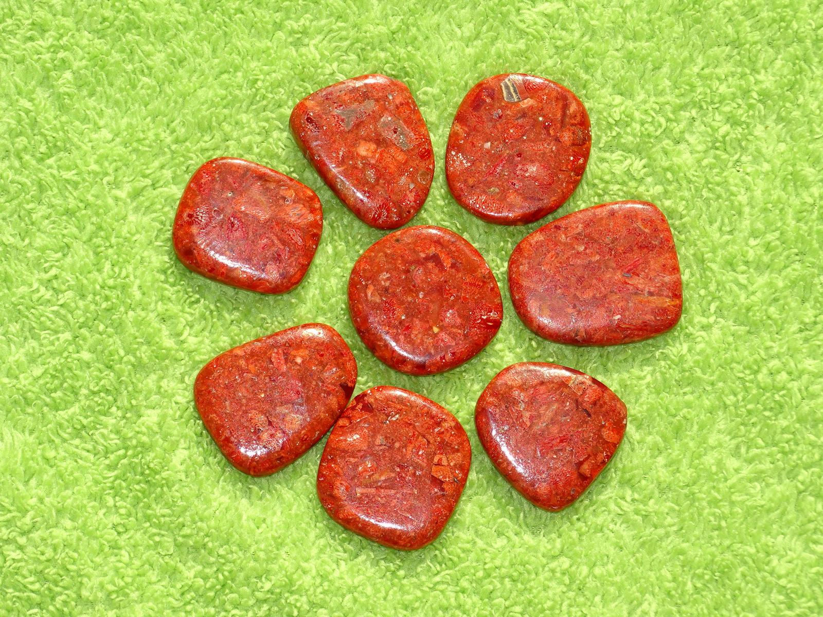 Schaumkorallen-Flachstein