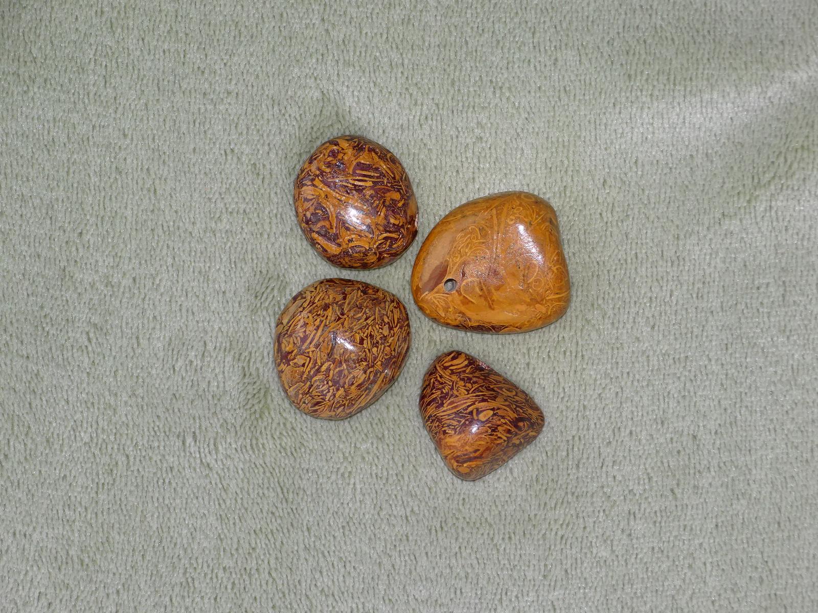 Schlangenjaspis - Wähle aus dem aktuellen Sortiment!