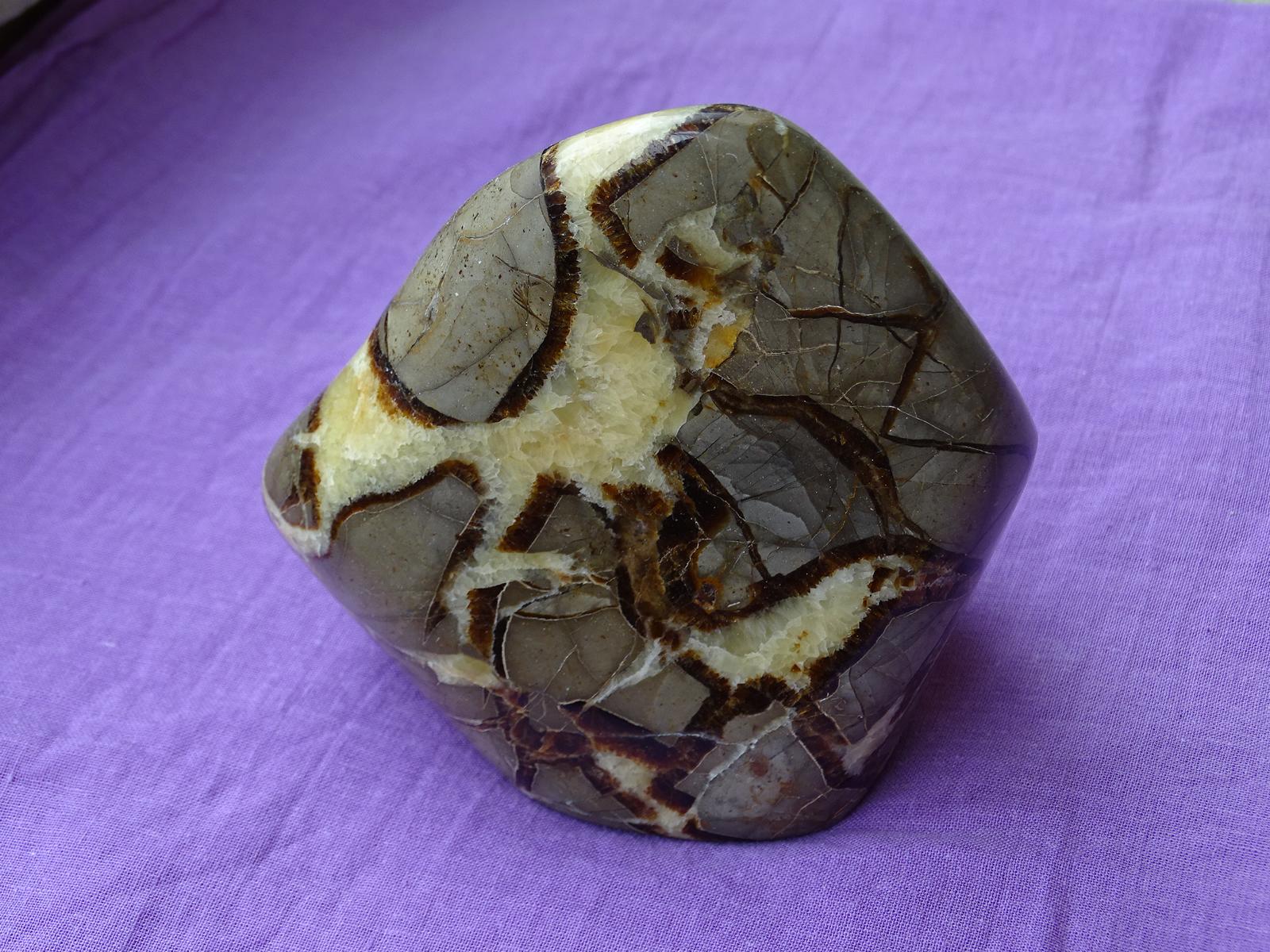 Septarie Nr. 1 – Bild 2