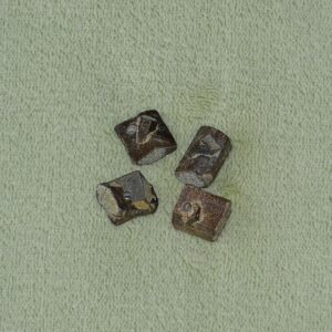 Staurolith - Wähle aus dem aktuellen Sortiment!