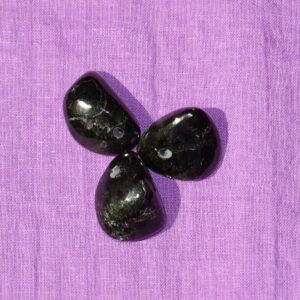 Sterndiopsid - Wähle aus dem aktuellen Sortiment!