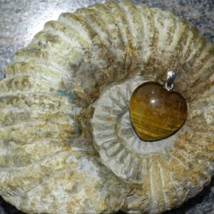 Herz-Anhänger Tigerauge