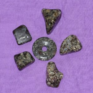 Turitella-Jaspis - Wähle aus dem aktuellen Sortiment!