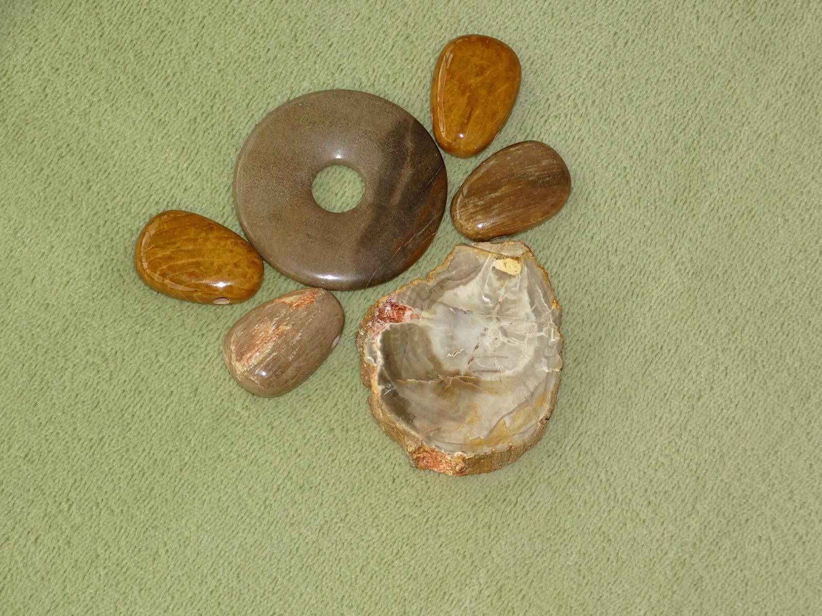 Versteinertes Holz - Wähle aus dem aktuellen Sortiment!