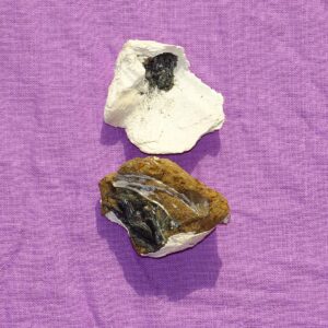 Zahntürkis - Wähle aus dem aktuellen Sortiment!