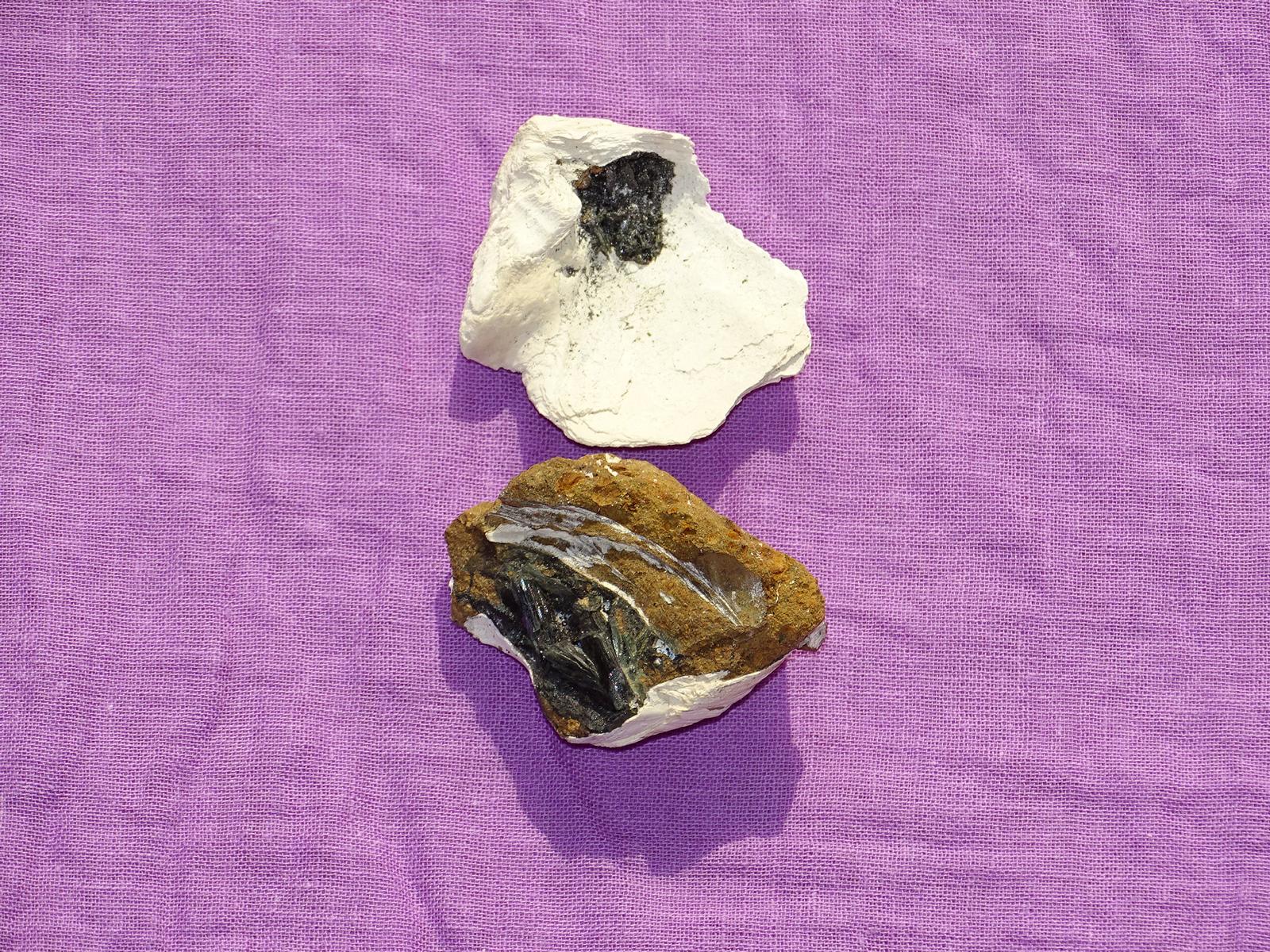 Zahntürkis - Wähle aus dem aktuellen Sortiment!