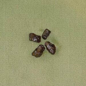 Tsesit - Wähle aus dem aktuellen Sortiment!