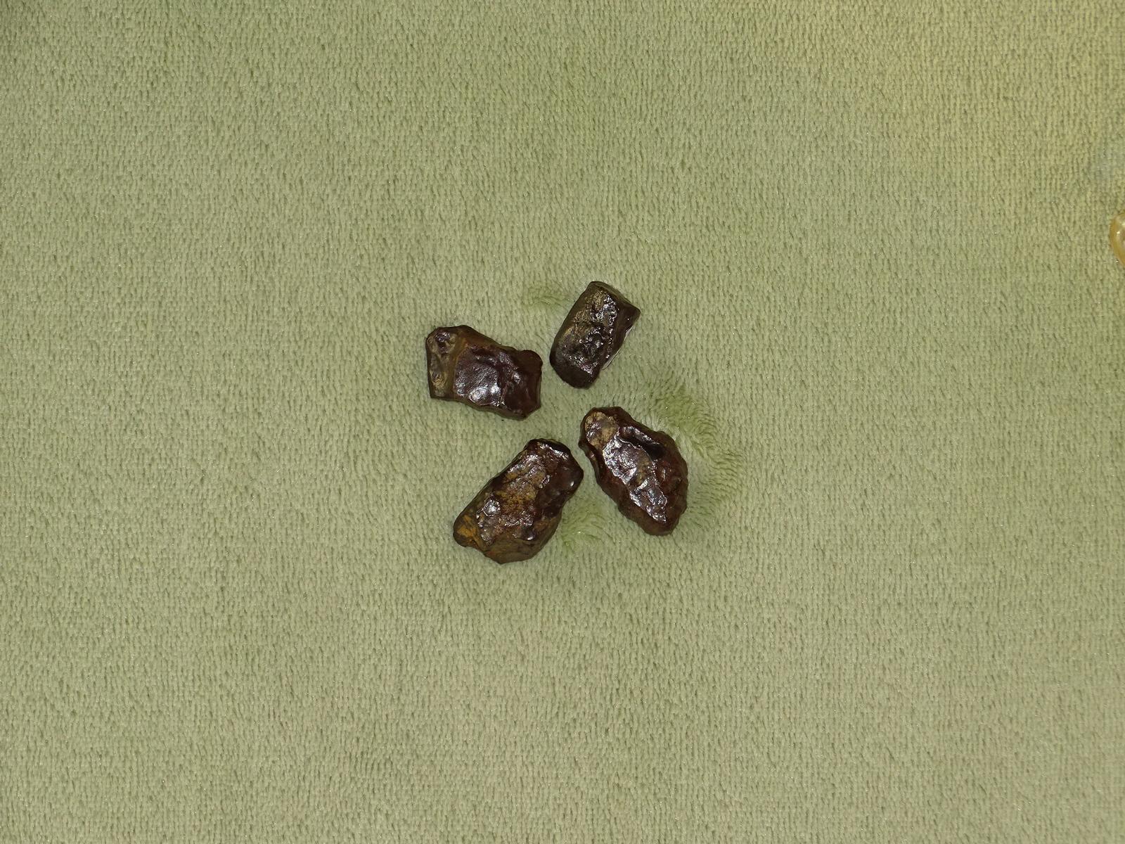 Tsesit - Wähle aus dem aktuellen Sortiment!