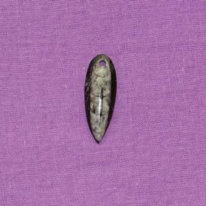 Orthoceras gebohrt Nr. 5