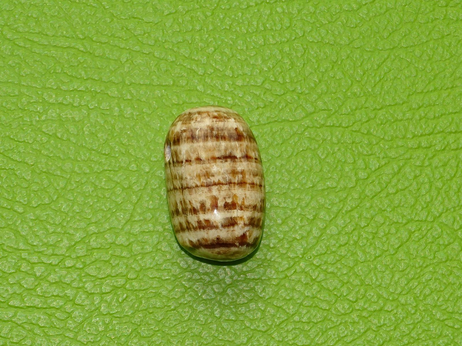 Aragonit gebohrt Nr. 1