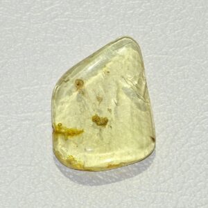 Bernstein mit eingeschlossenem Mini-Insekt