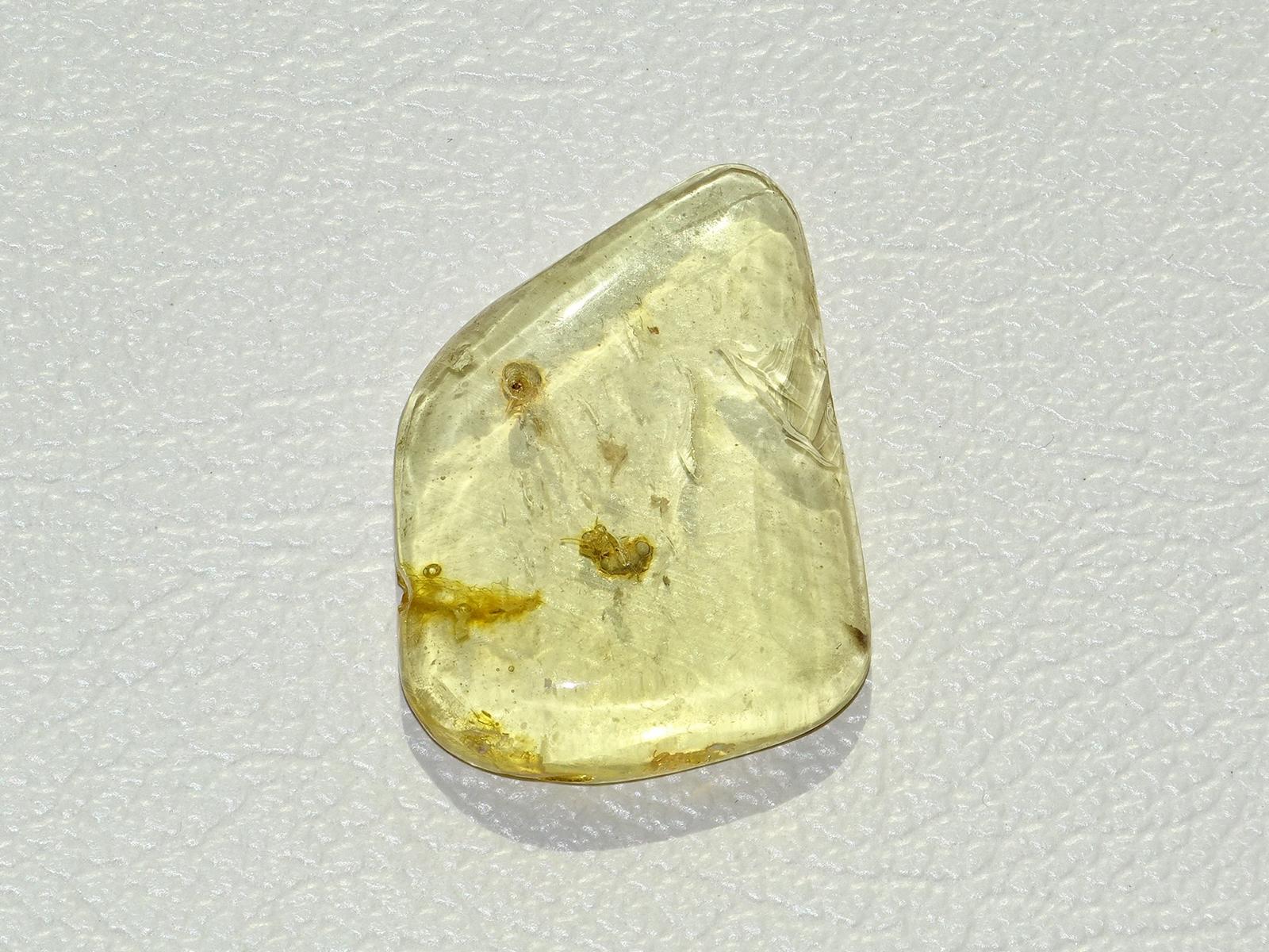 Bernstein mit eingeschlossenem Mini-Insekt