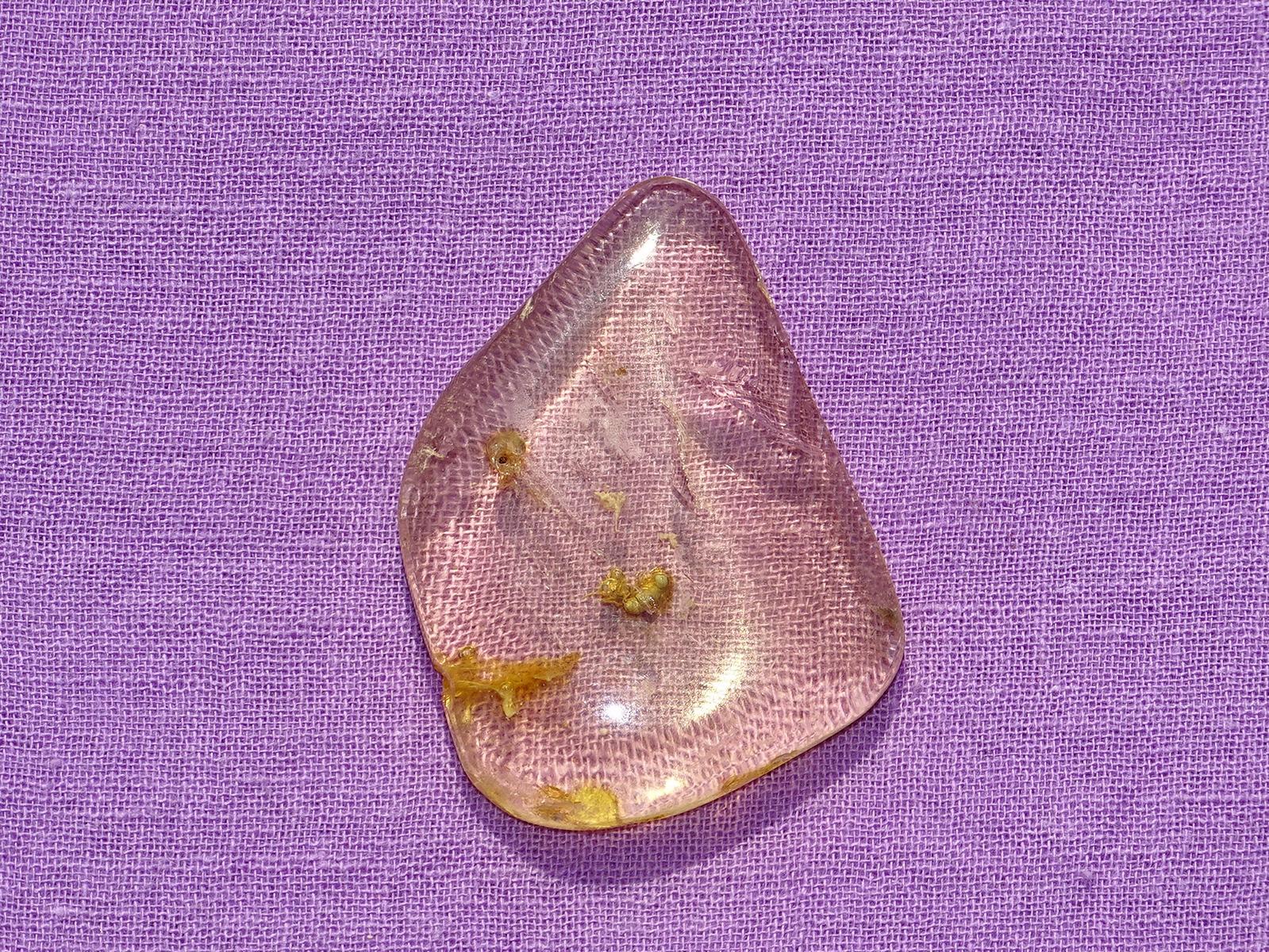 Bernstein mit eingeschlossenem Mini-Insekt – Bild 2