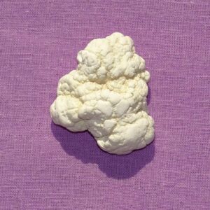 Knollenmagnesit gebohrt Nr. 1