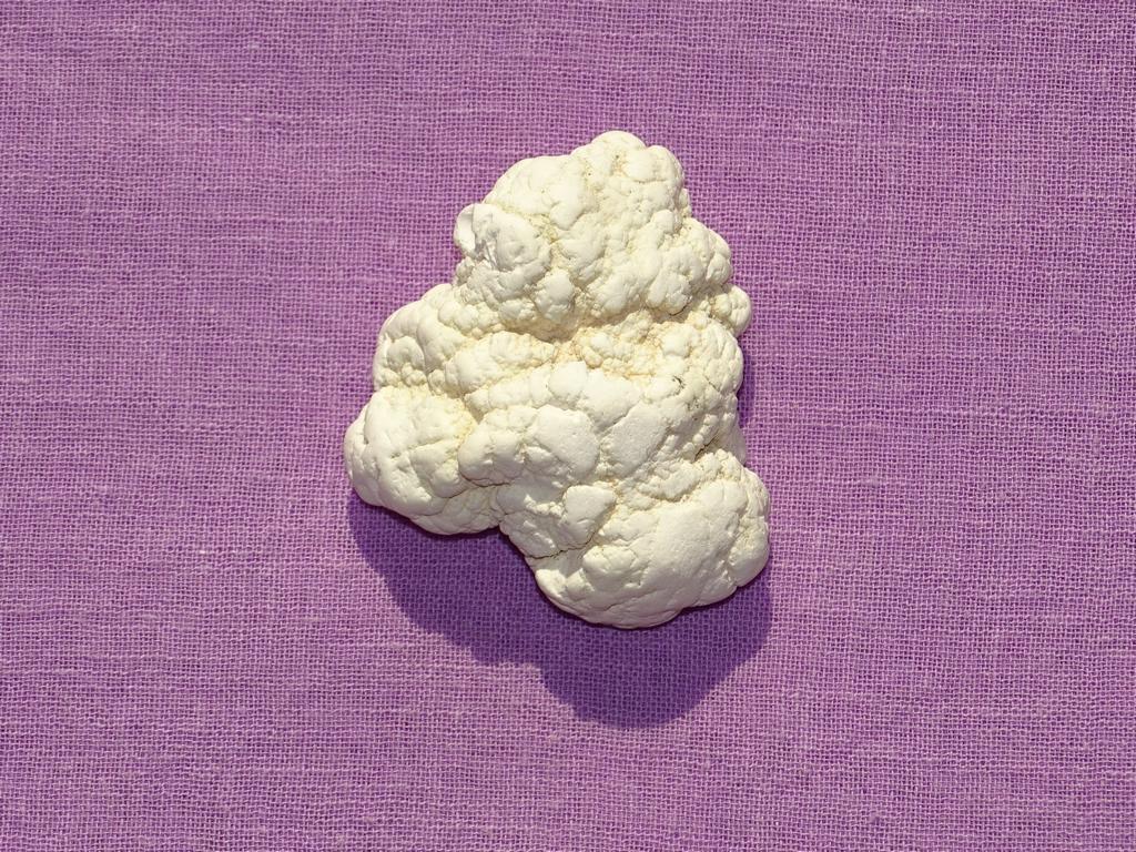 Knollenmagnesit gebohrt Nr. 1