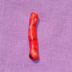 Koralle rot, Ast gebohrt Nr. 2