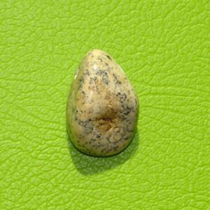 Moosopal gebohrt Nr. 2