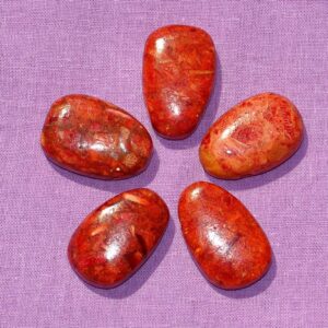 Schaumkoralle-Tropfen gebohrt