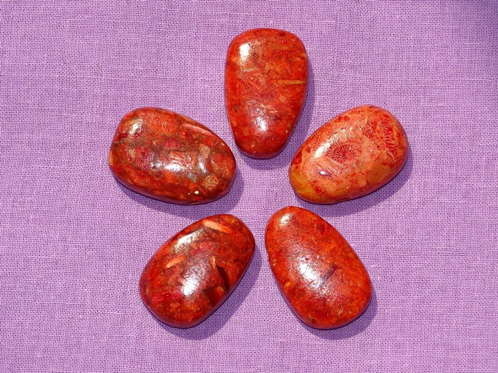 Schaumkoralle-Tropfen gebohrt