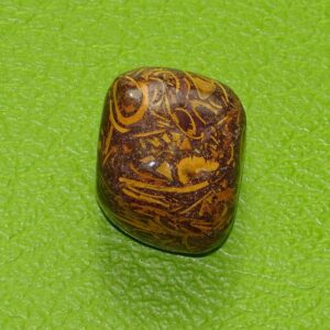 Schlangenjaspis gebohrt Nr. 5