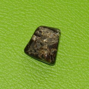 Turitella-Jaspis gebohrt Nr. 6