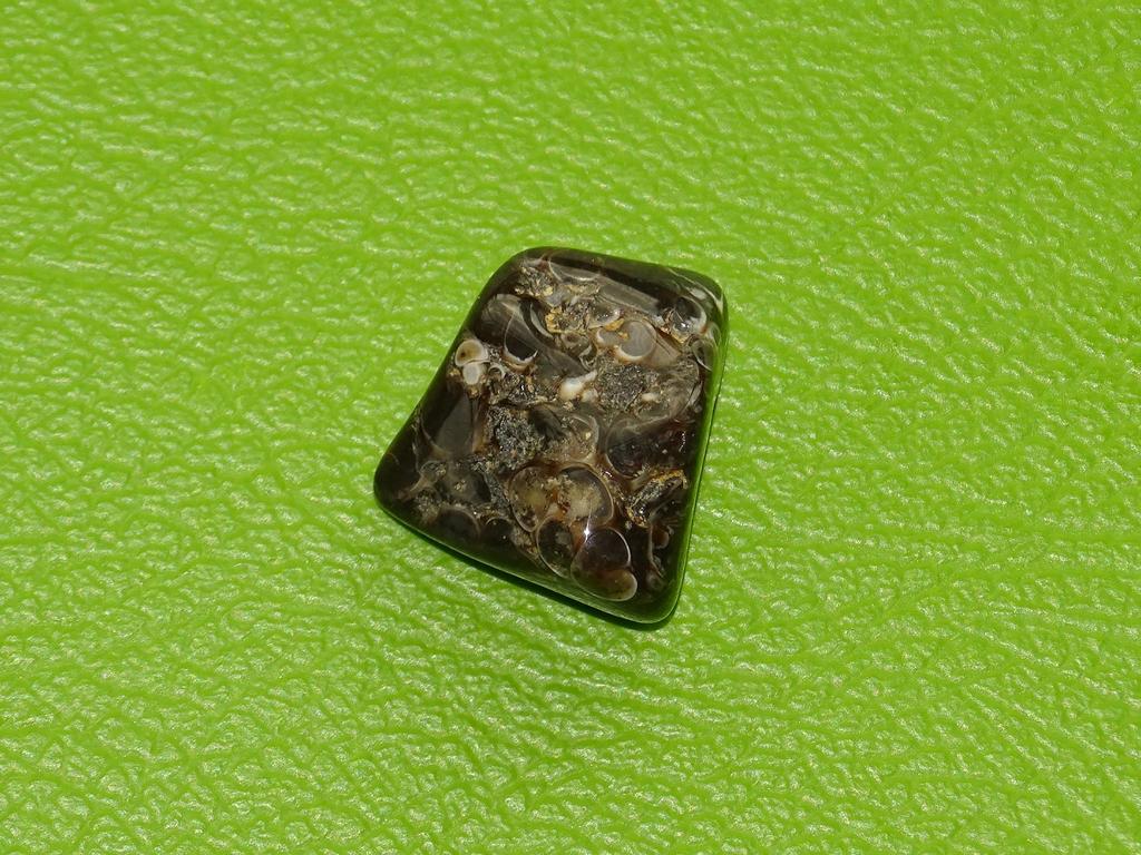 Turitella-Jaspis gebohrt Nr. 6