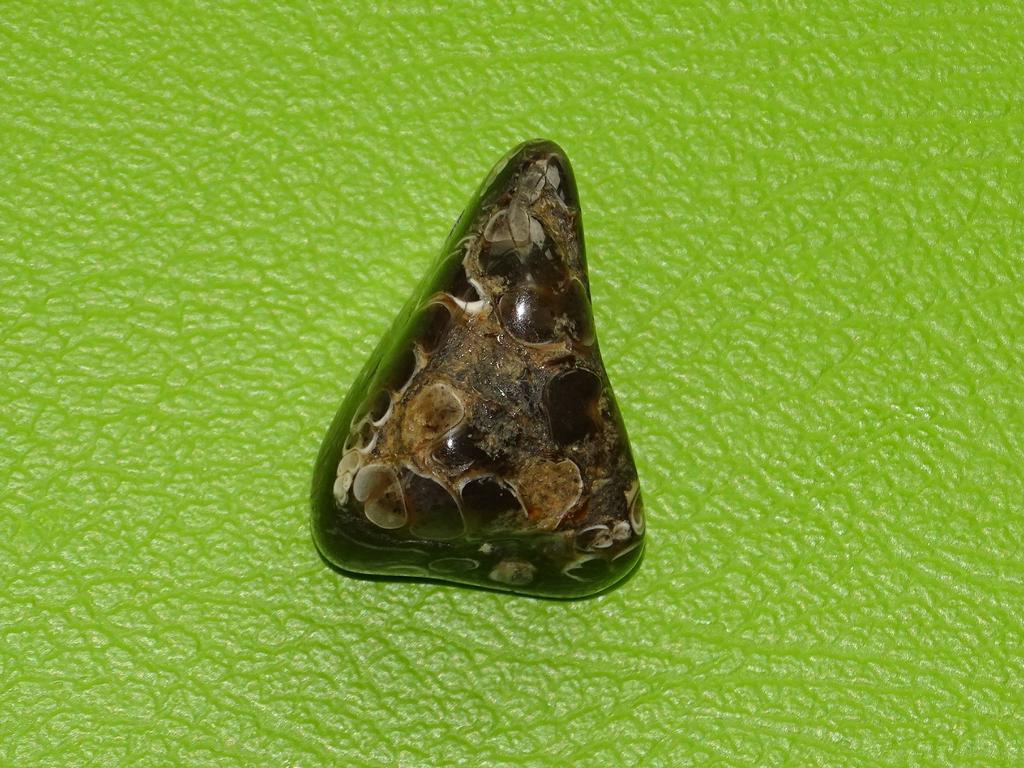 Turitella-Jaspis gebohrt Nr. 1