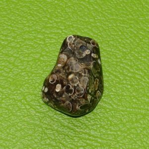 Turitella-Jaspis gebohrt Nr. 2