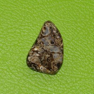 Turitella-Jaspis gebohrt Nr. 3