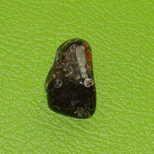 Turitella-Jaspis gebohrt Nr. 4