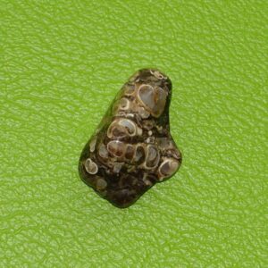 Turitella-Jaspis gebohrt Nr. 5