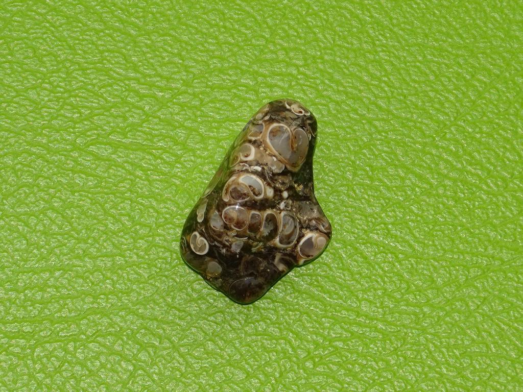 Turitella-Jaspis gebohrt Nr. 5